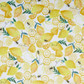 Lemonade Parade